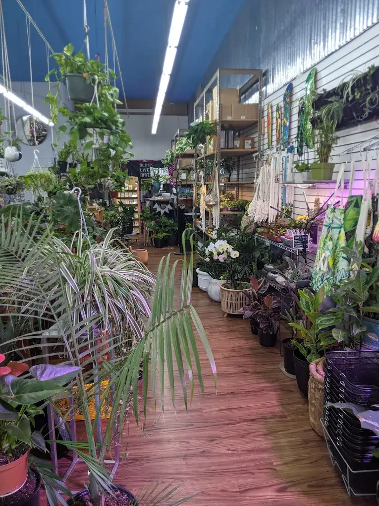 PLANTLUSH2 (1)